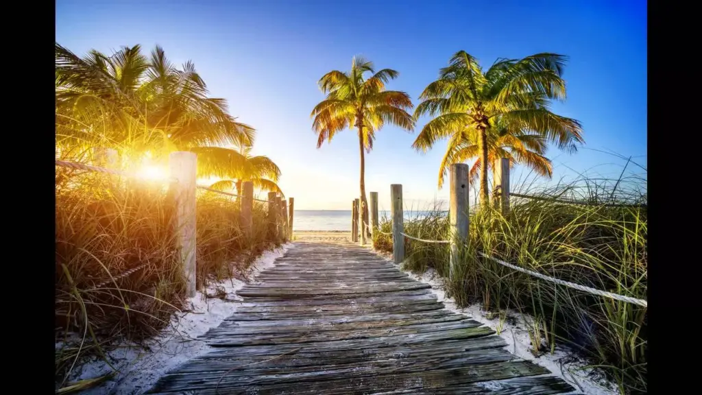 Tropical Backdrops