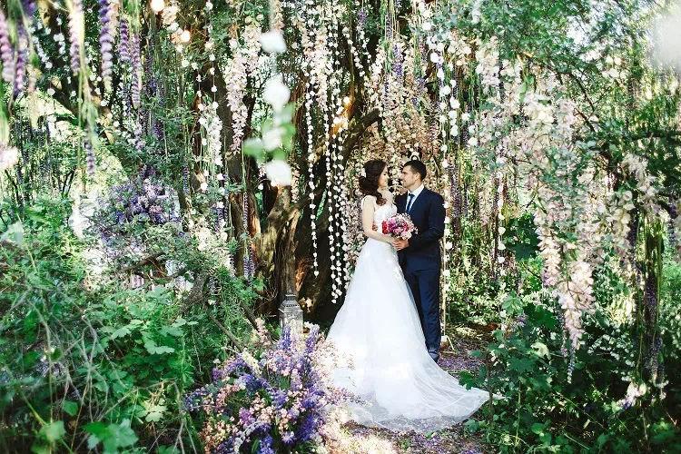 Whimsical Forest Clearing