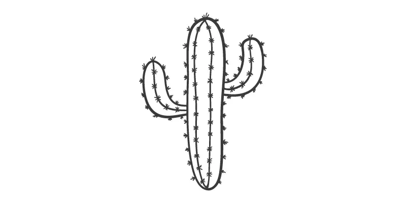 Cacti Cacti