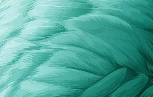 Free vector feather Free vector feather