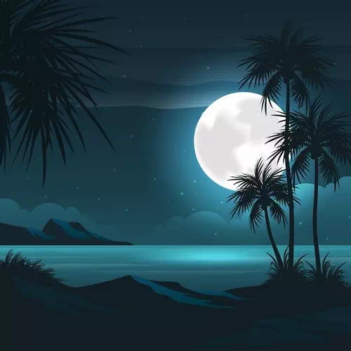 Gradient Summer Night Illustration with Beach View Gradient Summer Night Illustration with Beach View