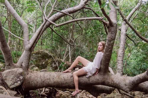 Leaning Against a Tree Trunk Leaning Against a Tree Trunk