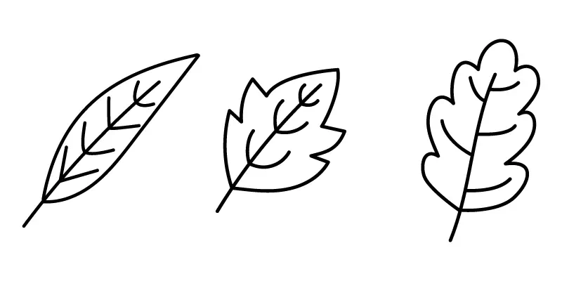 Leaves Leaves