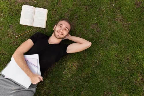 Lying on the Grass and Gazing Upwards Lying on the Grass and Gazing Upwards
