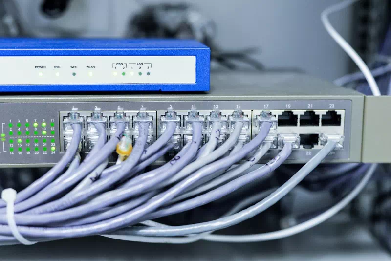 Network connectivity and file transfers Network connectivity and file transfers