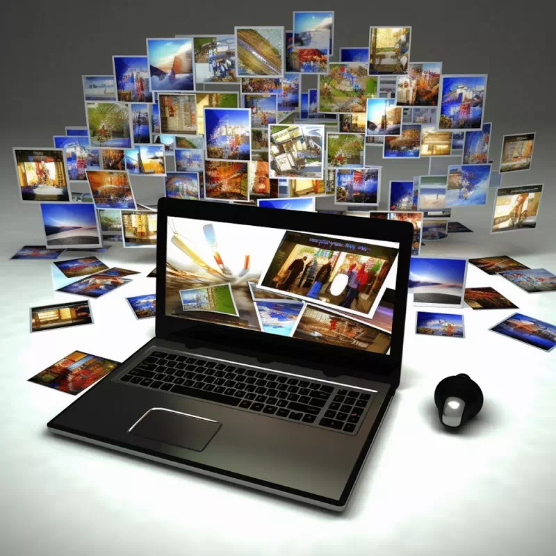 Perform a Reverse Image Search Perform a Reverse Image Search