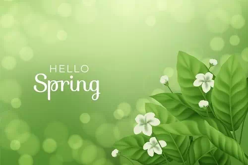 Realistic spring background with flowers and leaves Realistic spring background with flowers and leaves