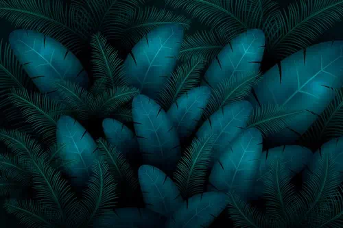Tropical Leaves Wallpaper Tropical Leaves Wallpaper
