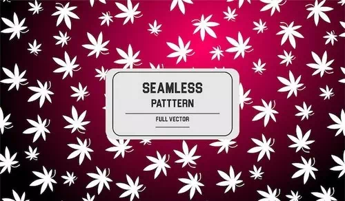Vector cannabis seamless pattern design background Vector cannabis seamless pattern design background
