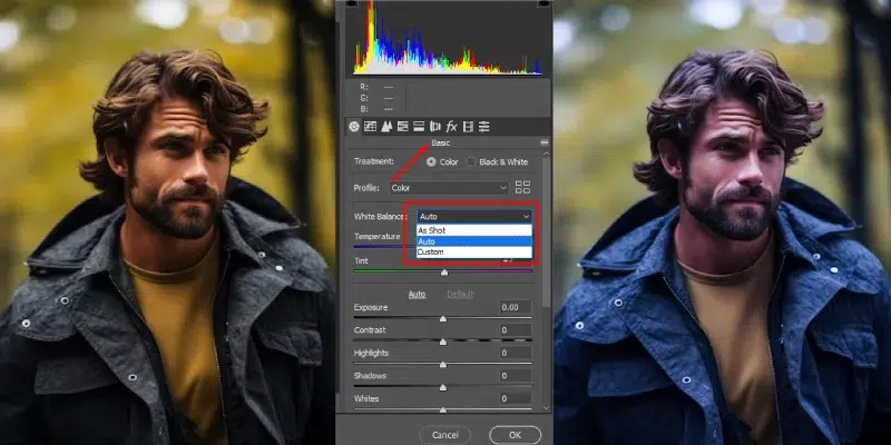 Adjust and White Balance Adjust and White Balance