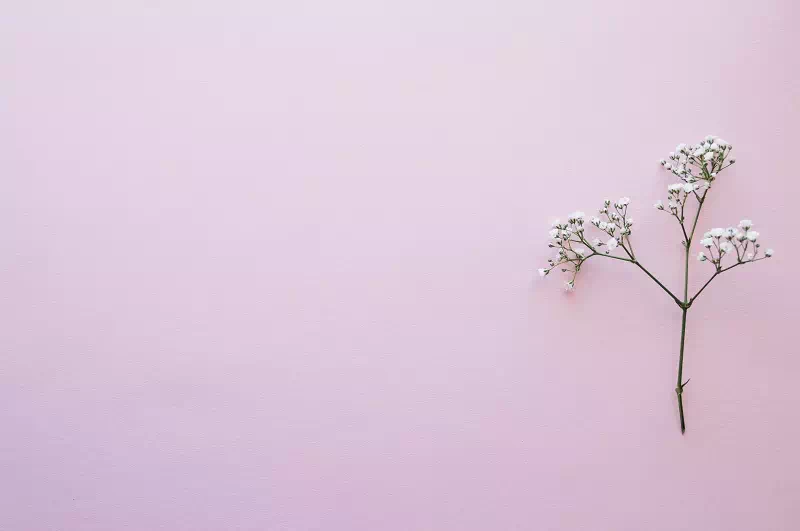 Create a Simple Background Create a Simple Background