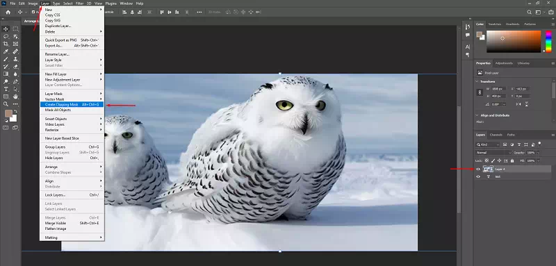 Create the Clipping Mask Create the Clipping Mask
