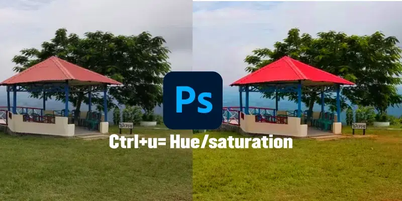Enhance-Colors-and-Contrast Enhance-Colors-and-Contrast