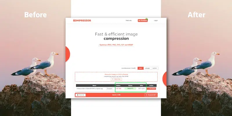 Optimize Your Photos to Reduce the Load Time Optimize Your Photos to Reduce the Load Time