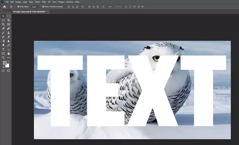 Place the Clipped Layer Place the Clipped Layer