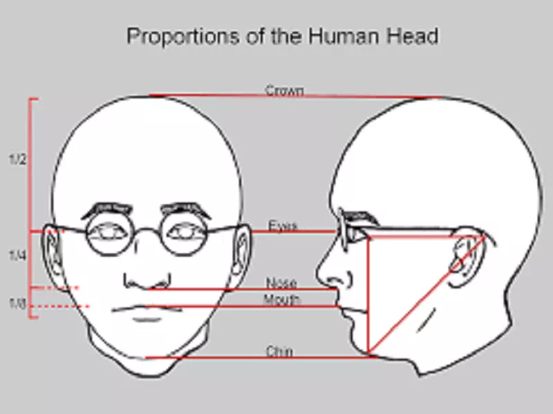Proportional Drawing Proportional Drawing