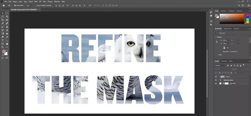 Refine the Mask Refine the Mask