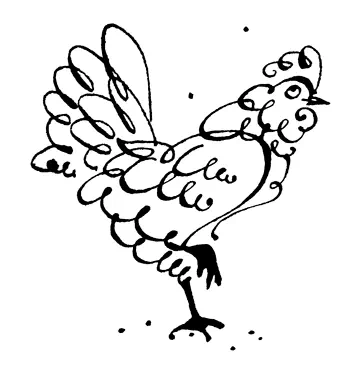Calligraphic Drawing Calligraphic Drawing