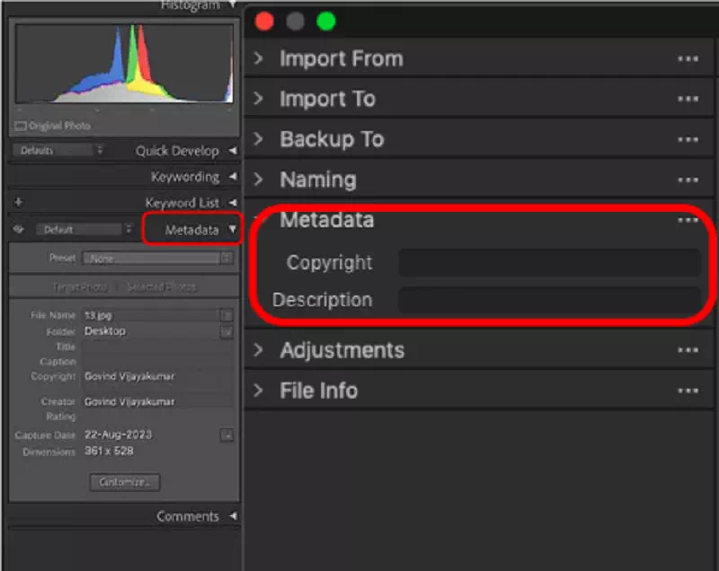 Metadata