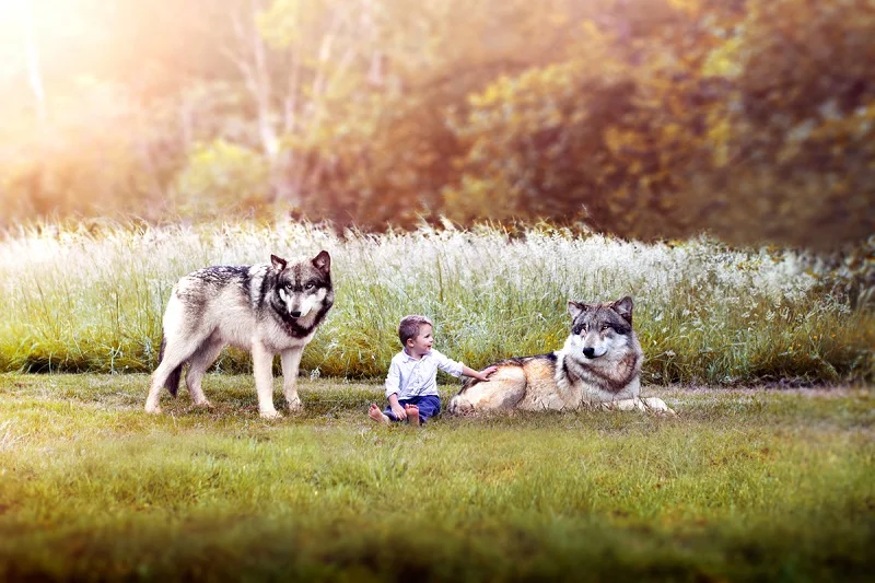 Innocence Tames the Beast
