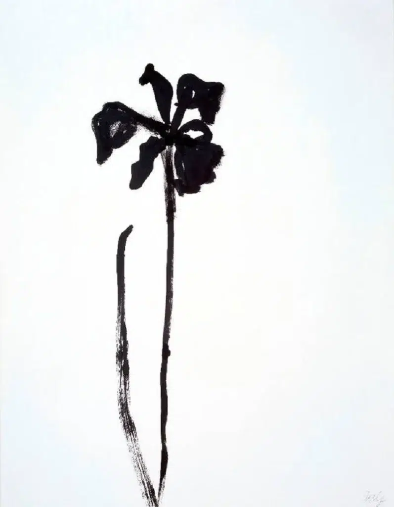 Iris by Ellsworth Kelly