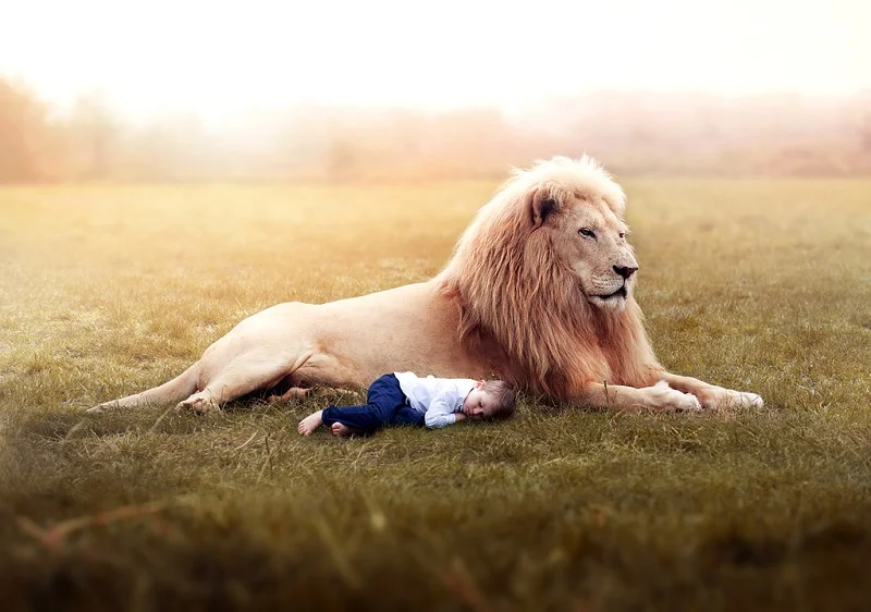 Landon’s Lion