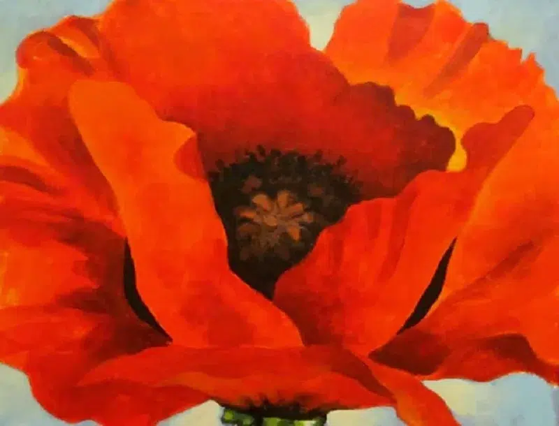 Red Poppies  by Georgia O Keeffe