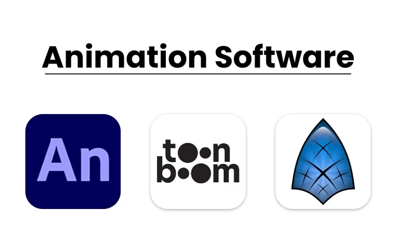 Use of Animation Software Use of Animation Software