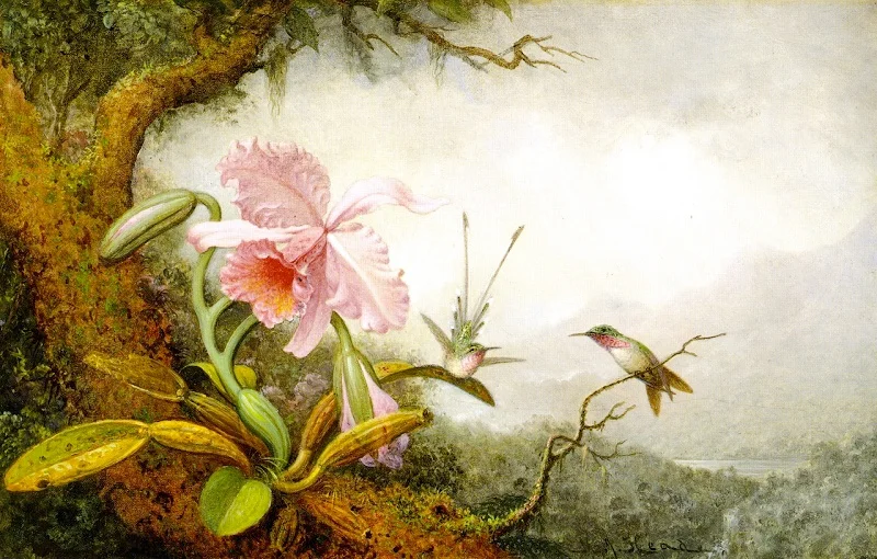 White and Pink Azaleas by Martin Johnson Heade