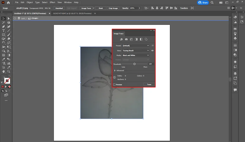 Image Trace Image Trace