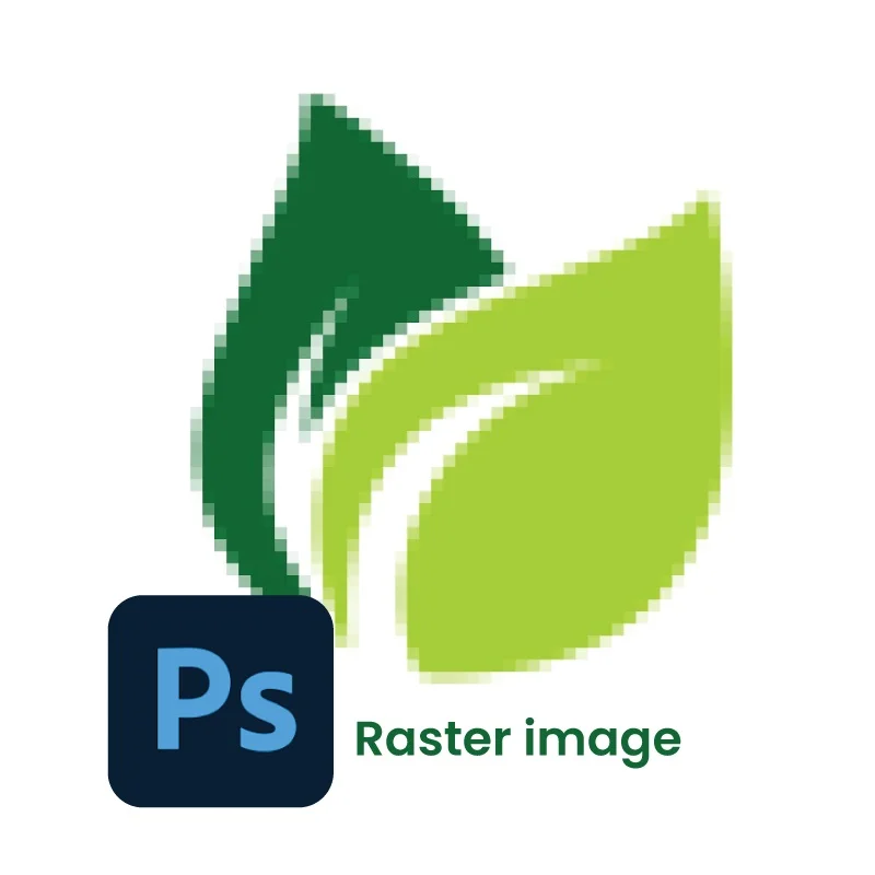 Software raster Software raster
