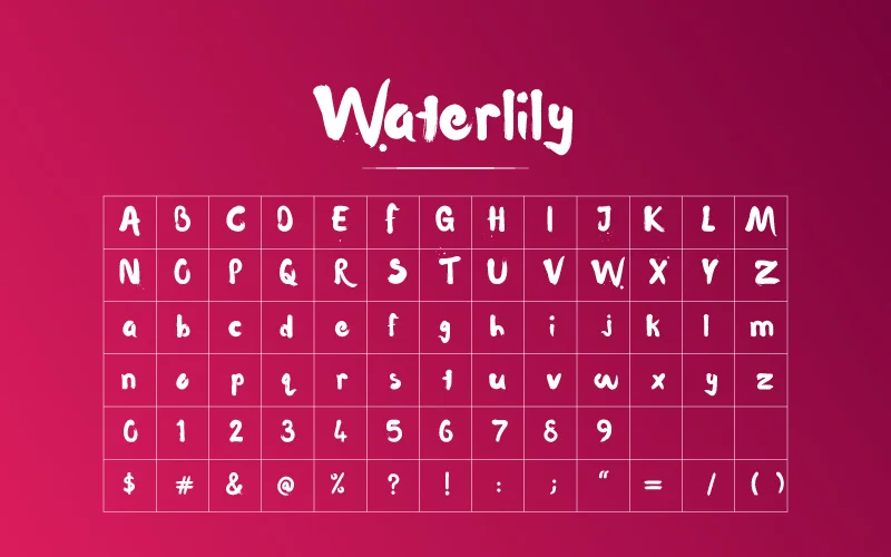 Waterlily